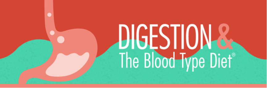 digestionbloodtypediet